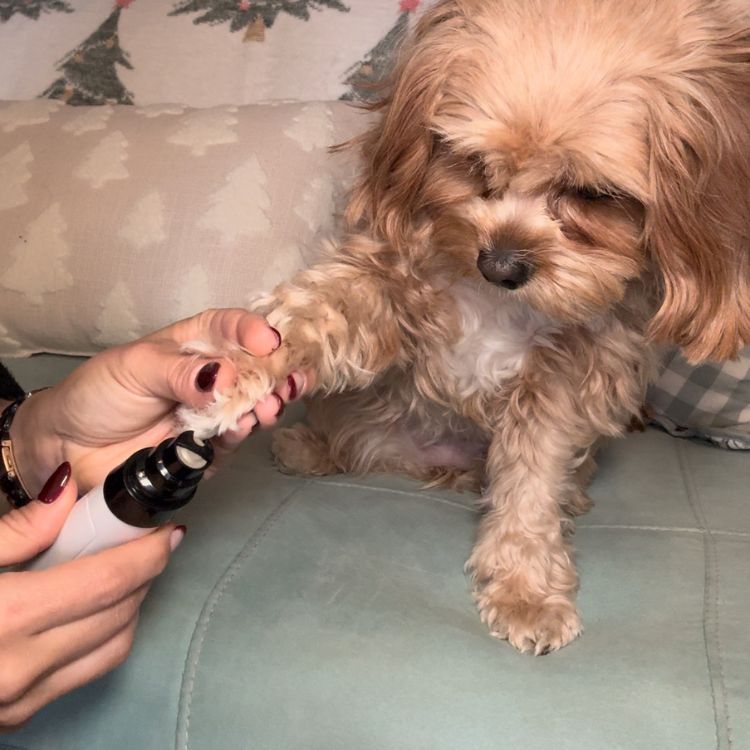 Silent Groom Pro - Electric Dog Nail Clippers