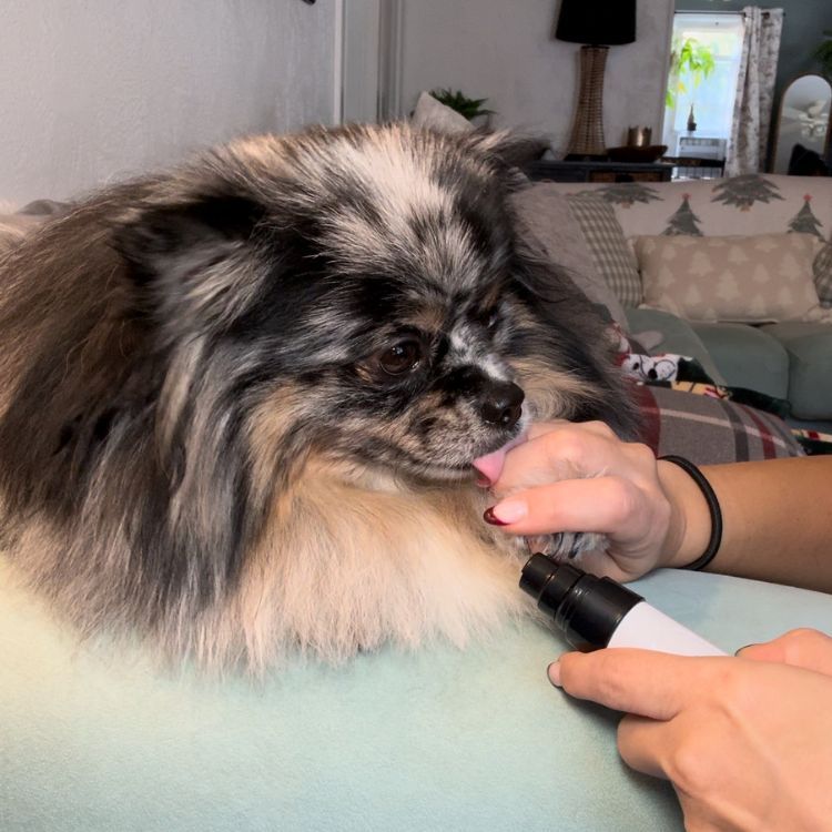 Silent Groom Pro - Electric Dog Nail Clippers