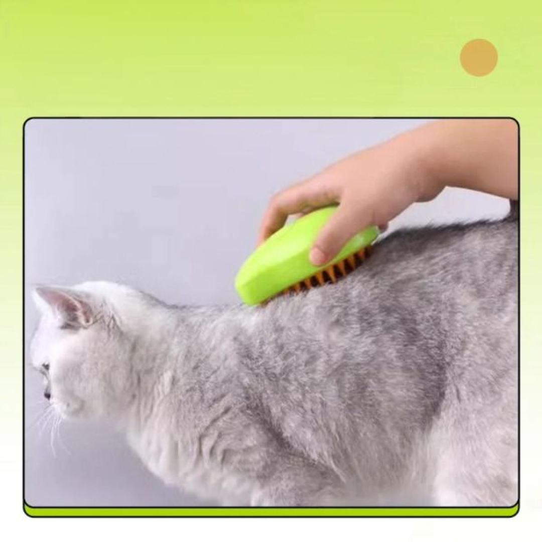 STEAM BRUSH FOR PETS