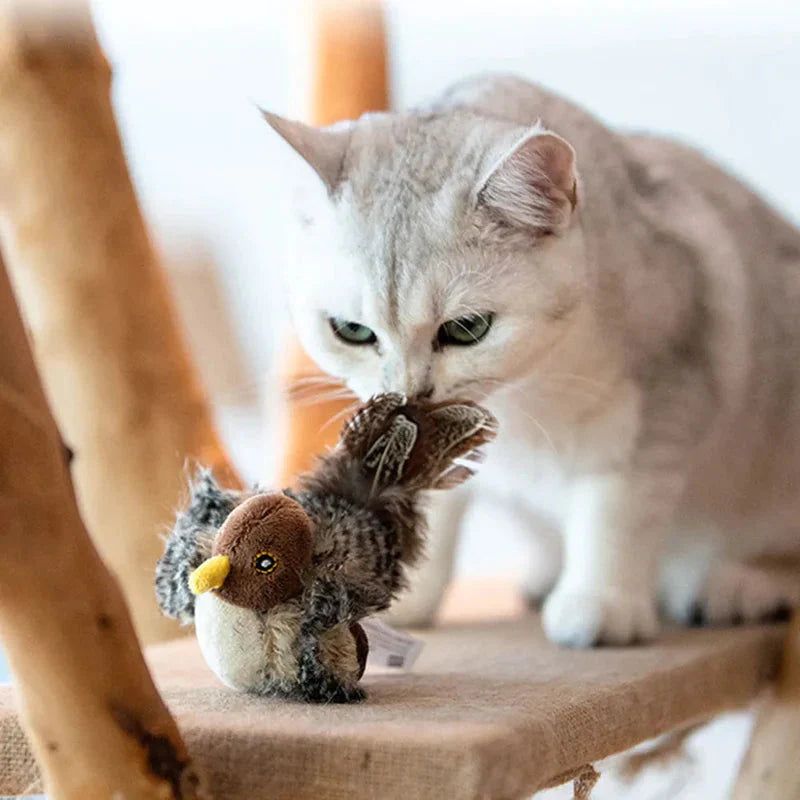 Chirping bird toy for cats