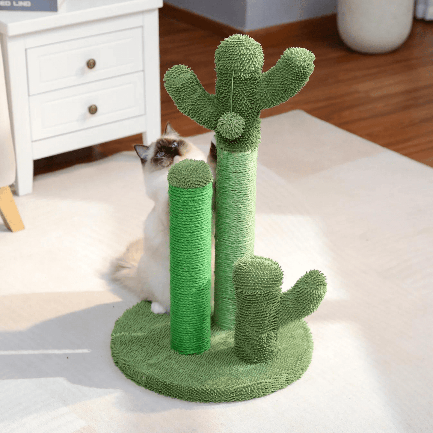 The Scratch Cactus