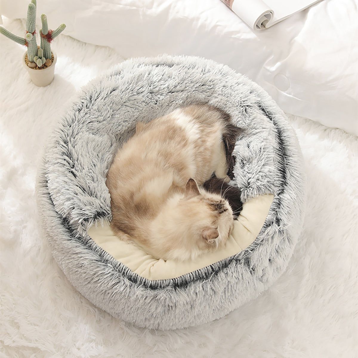 Snugpaws™ - Comfort for your pet's rest
