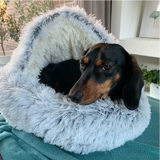 Snugpaws™ - Comfort for your pet's rest