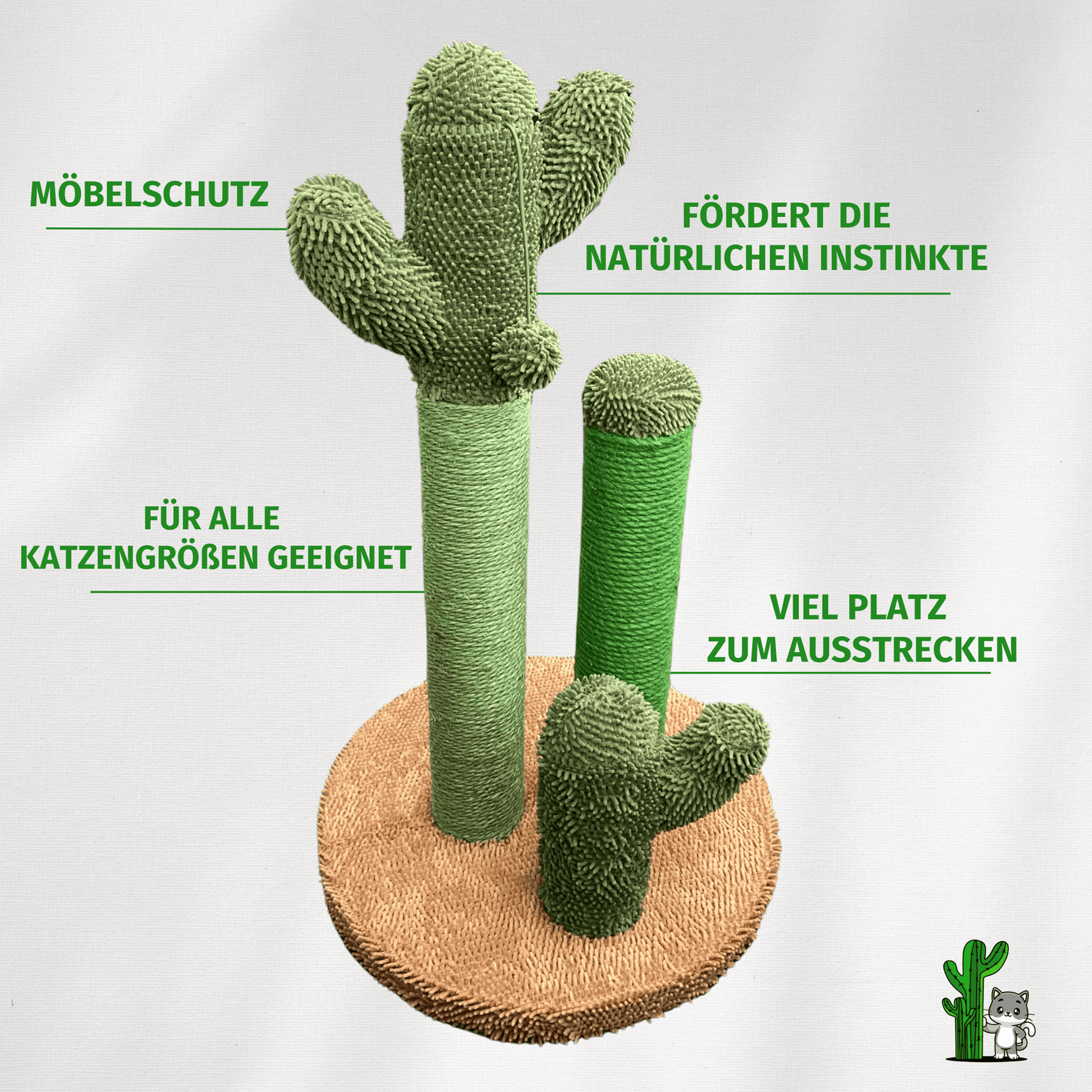 The Scratch Cactus
