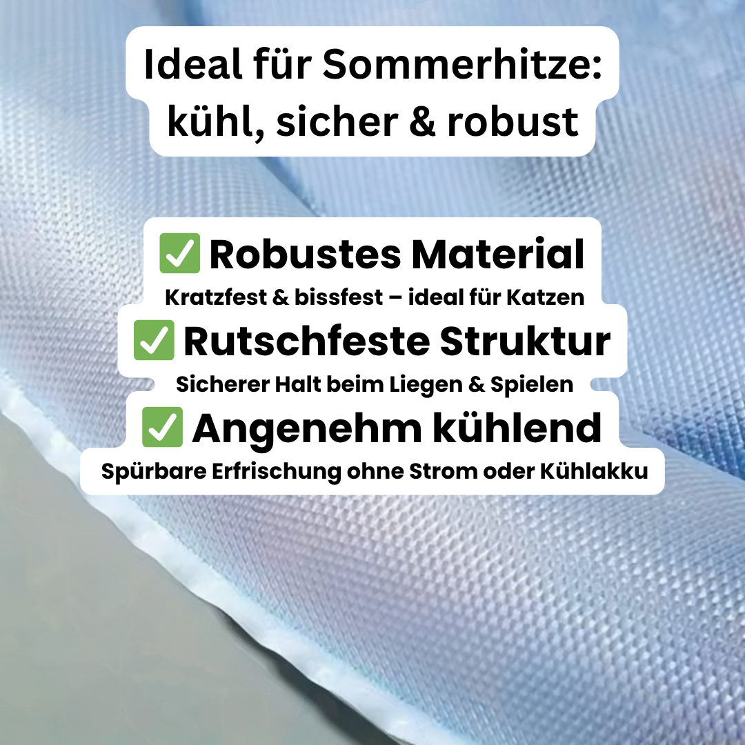 Sensory Water Mat for Cats
