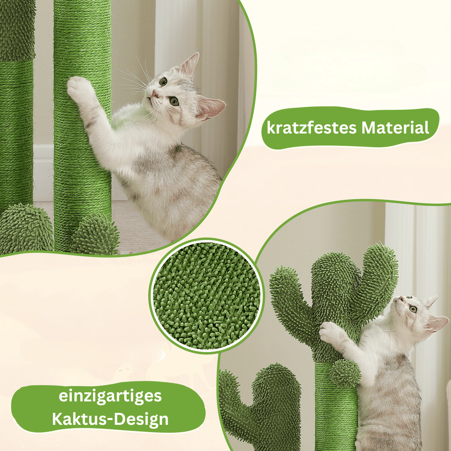 The Scratch Cactus
