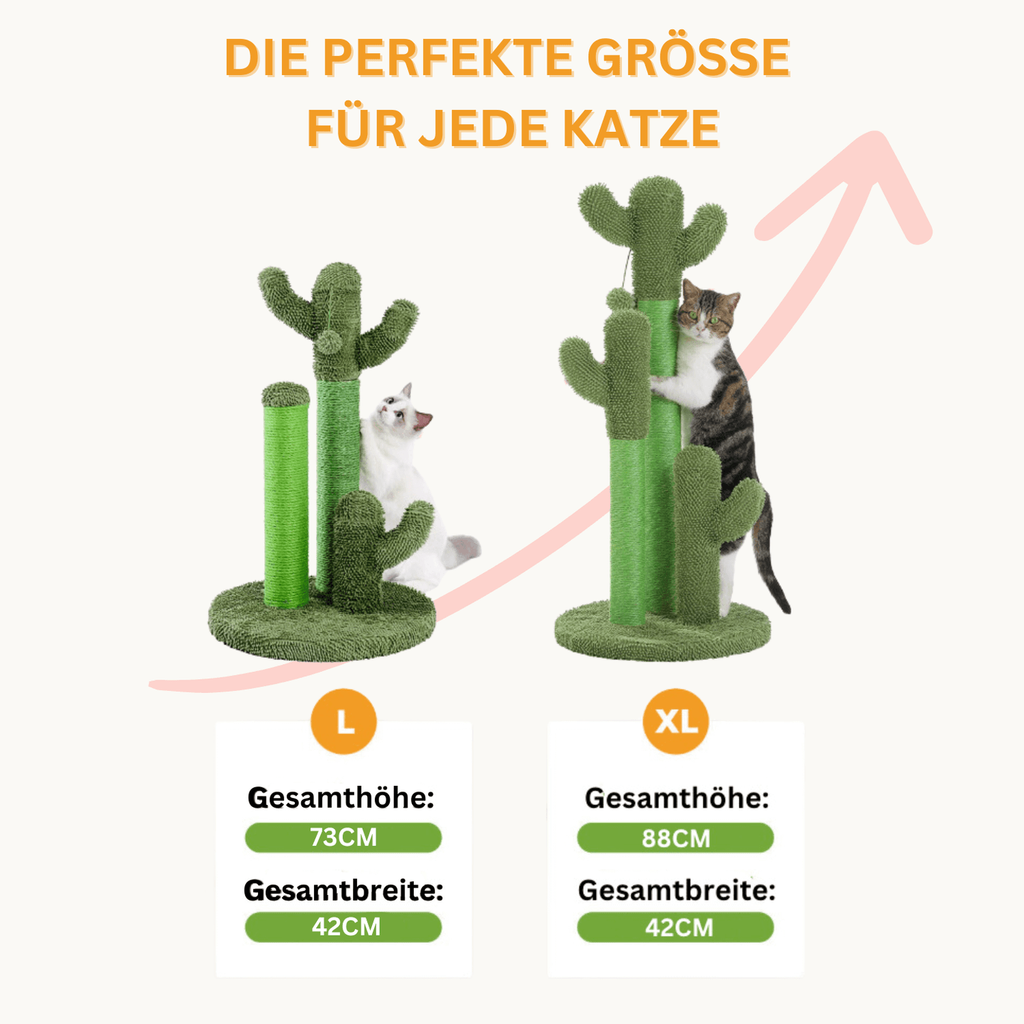 The Scratch Cactus