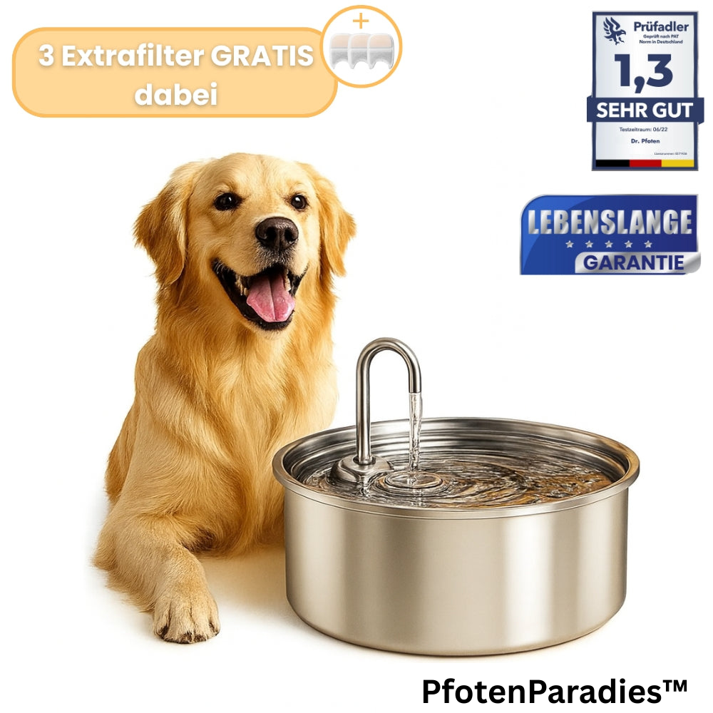 AquaFlow™ - Der antibakterielle Trinkbrunnen mit Filtration