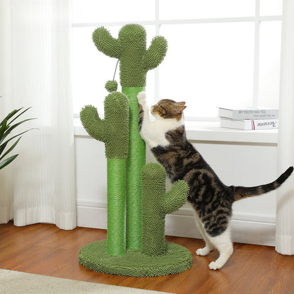 The Scratch Cactus 