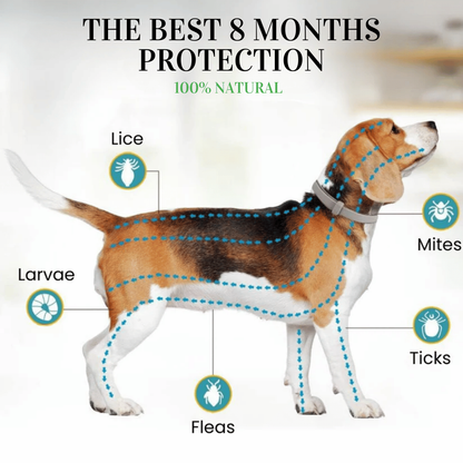BIO-COLLAR™ 8+ Months Protection against Flea &amp; Tick 