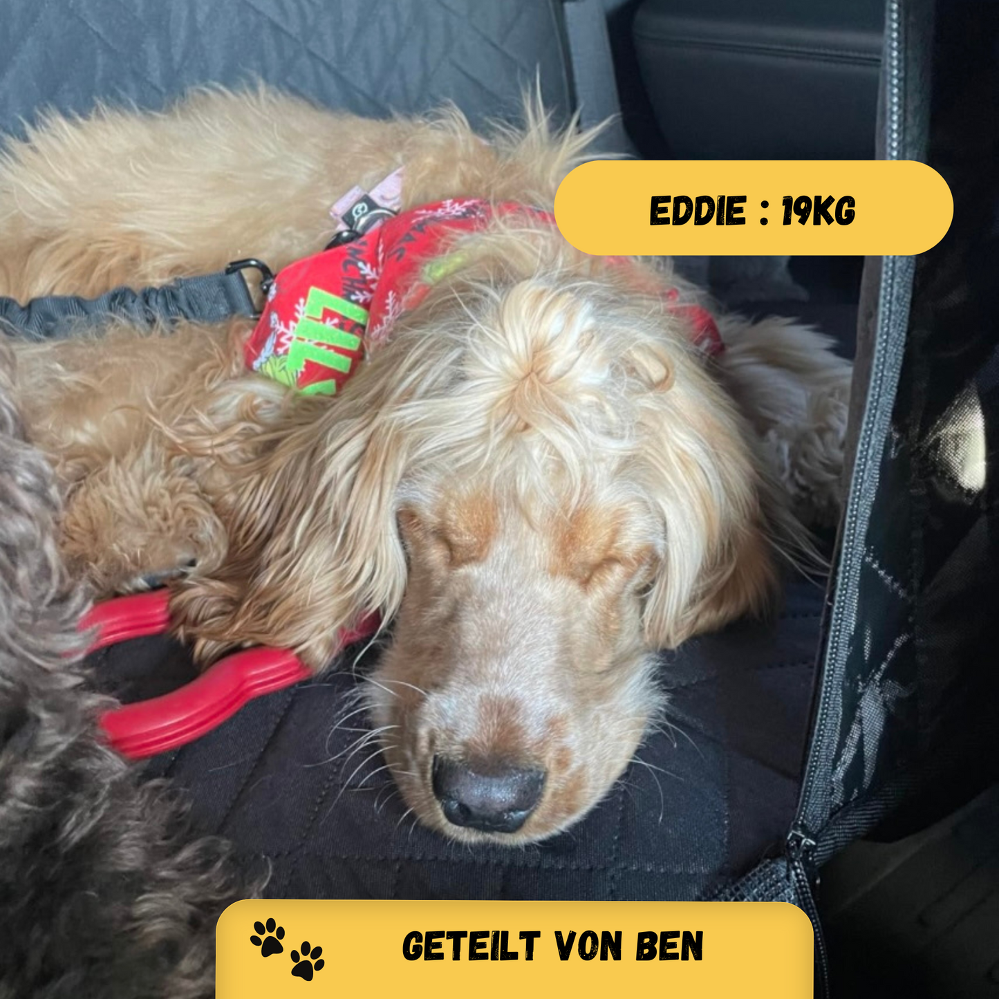 Hartboden-Autositzerweiterung für Hunde