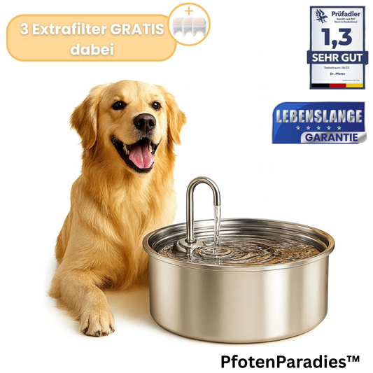 AquaFlow™ - Der antibakterielle Trinkbrunnen mit Filtration